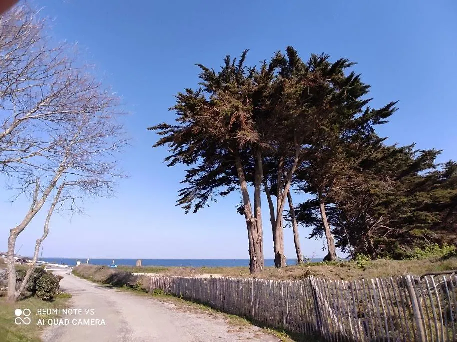 Logement En Rdc Port Haliguen Apartman Quiberon